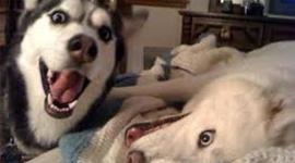 Timeline: Khmer Empire