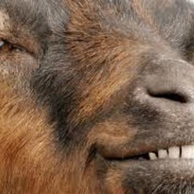 Timeline: Rwanda's Genocide