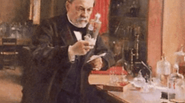 Timeline: Generación espontánea y su decadencia.