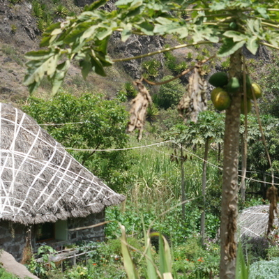 Timeline: Islam Timeline