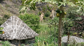 Timeline: Islam Timeline