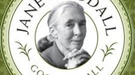 Timeline: Jane Goodall