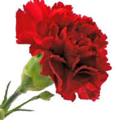 Timeline: 17 Νοέμβρη 1973