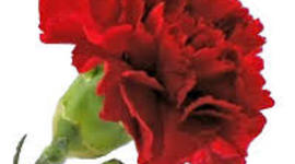 Timeline: 17 Νοέμβρη 1973