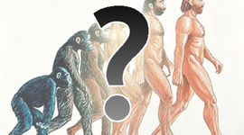 Timeline: Teorías fijistas y evolucionistas