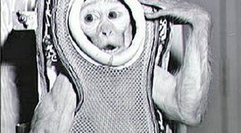 Timeline: First Time In Space Timeline