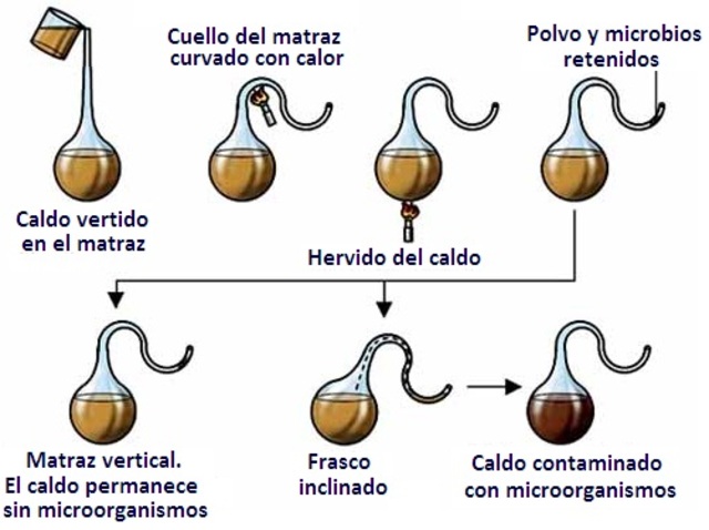 ADIÓS A LA GENERACIÓN ESPONTÁNEA timeline Timetoast
