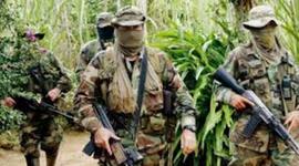 Timeline: HISTORIA DE LA GUERRILLA, LOS PARAMILITARES Y EL NARCOTRÁFICO