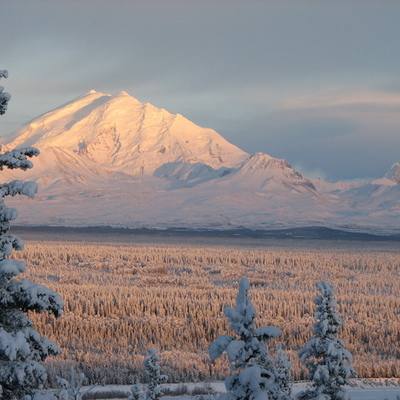 Timeline: Mr. Shumway's Career in Education