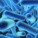 Legionnaires disease