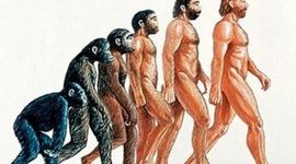 Timeline: Evolución del ser humano