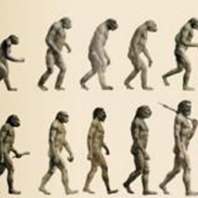 Timeline: El origen del ser humano