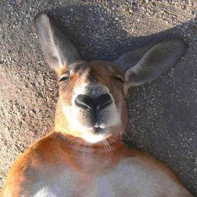 Timeline: My Life So Far...