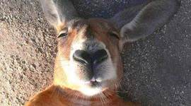 Timeline: My Life So Far...