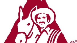 Timeline: desarrollo del diseño en Colombia durante el siglo xx