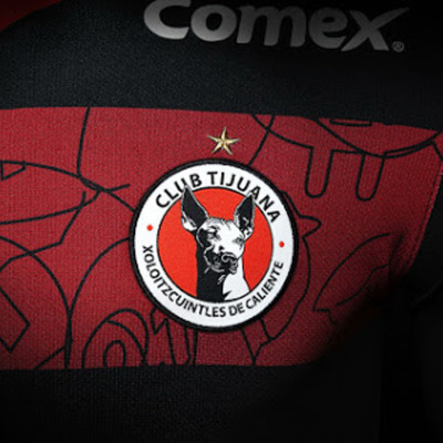 Timeline: Xolos 2014