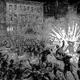 Haymarket riot
