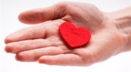 Timeline: סובבתהו בכחש/יהודה בורלא- שירה קוקיאשוילי