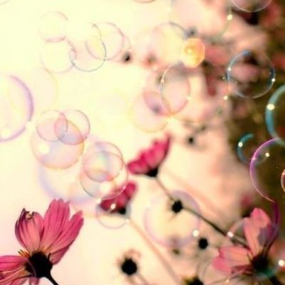 Timeline: Karujärve plaan