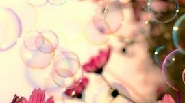 Timeline: Karujärve plaan