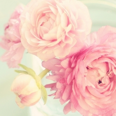 Timeline: China 1900-1949