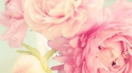 Timeline: China 1900-1949