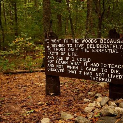 Timeline: Deadly Tsunamis-Kevin Dunn