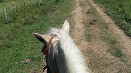 Timeline: Plan de Vida