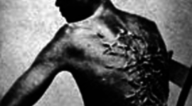 Timeline: The Last Straw