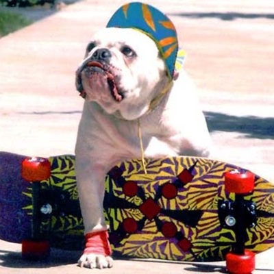 Timeline: Skateboarding