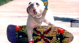 Timeline: Skateboarding