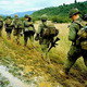Vietnam war pic