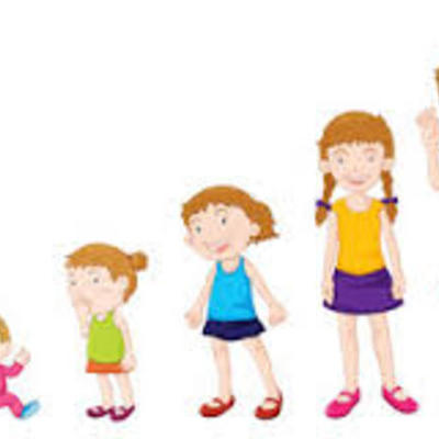 Timeline: Hayden's Moments