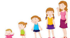 Timeline: Hayden's Moments