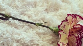 Timeline: Vietnam War Timeline