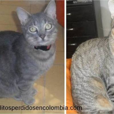 Timeline: Pi is lost for 26 days