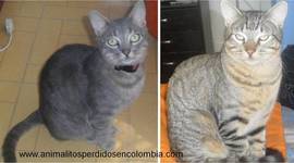 Timeline: Pi is lost for 26 days