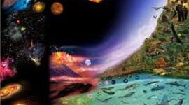 Timeline: El origen de la vida