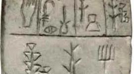 Timeline: La escritura