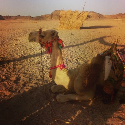 Timeline: Amazing travel!