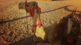 Timeline: Amazing travel!