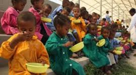 Timeline: Cronología desarrollo neurofisiológico y Alimentación de 0-6 años