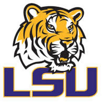 Timeline: Living Timeline - Amelia