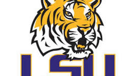 Timeline: Living Timeline - Amelia