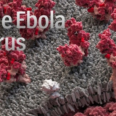 Timeline: Ebola In The United States