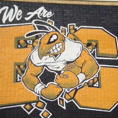 Timeline: Jazmin's life!