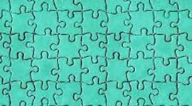 Timeline: rhonda's magnificent life