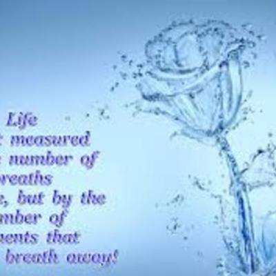 Timeline: Living Timeline