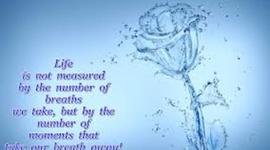 Timeline: Living Timeline