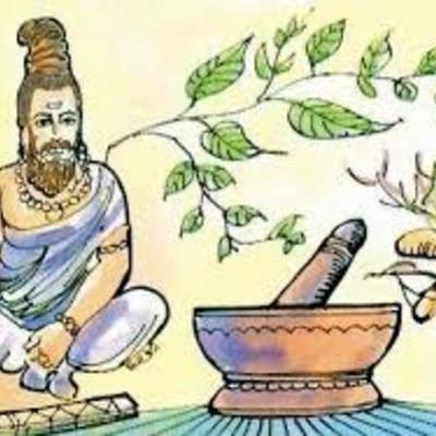 Timeline: plantas medicinales